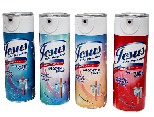 20oz. Skinny Tumbler - Jesus take the wheel (Rectangle)